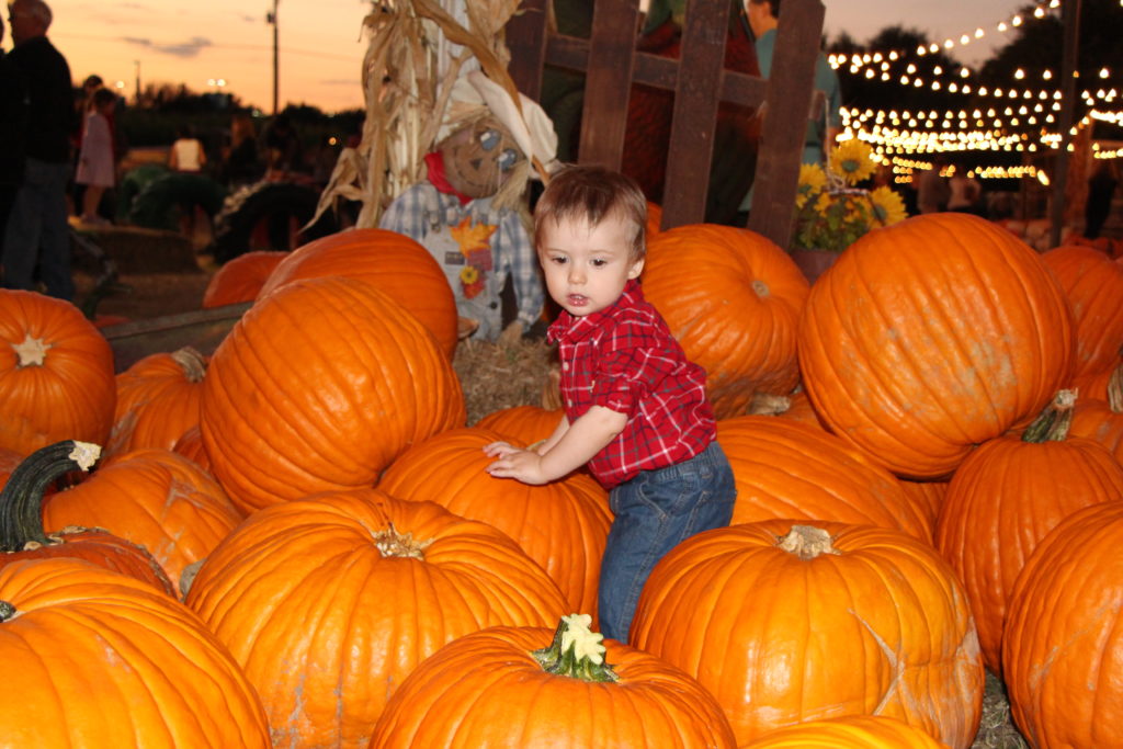 20161014-pumpkin-patch-025