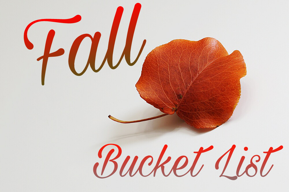 fall-bucket-list